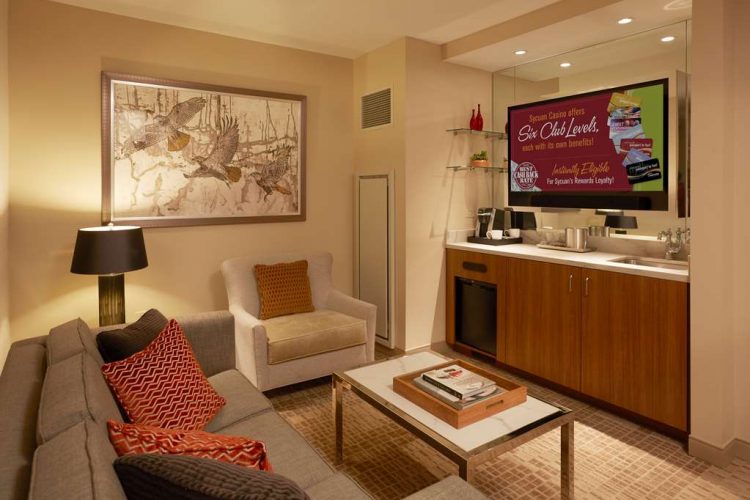 Premier Suite livingroom TV