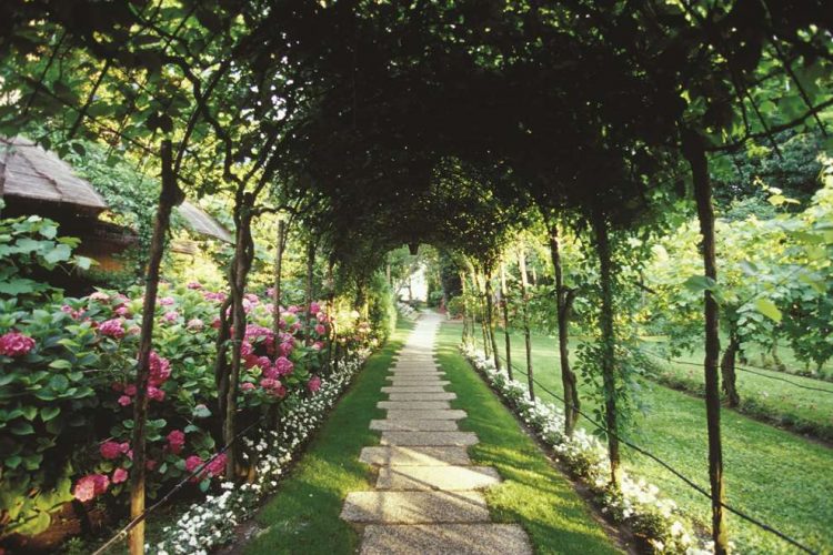 Garden view