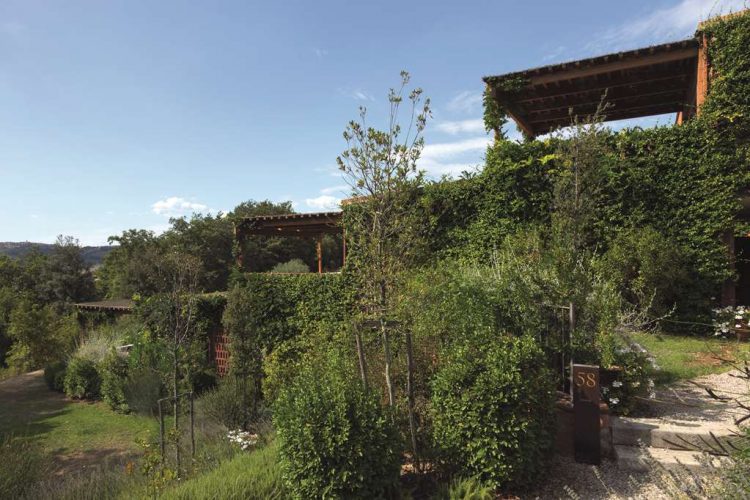 Oliveto Suites