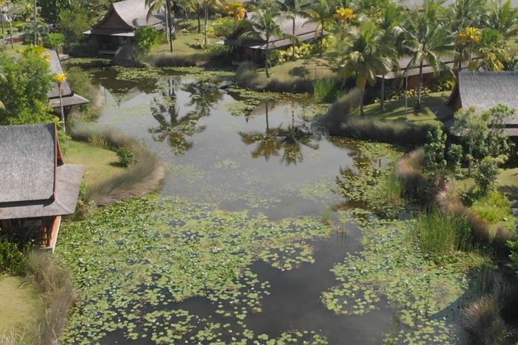 Lawan Thai Villa - Aerial
