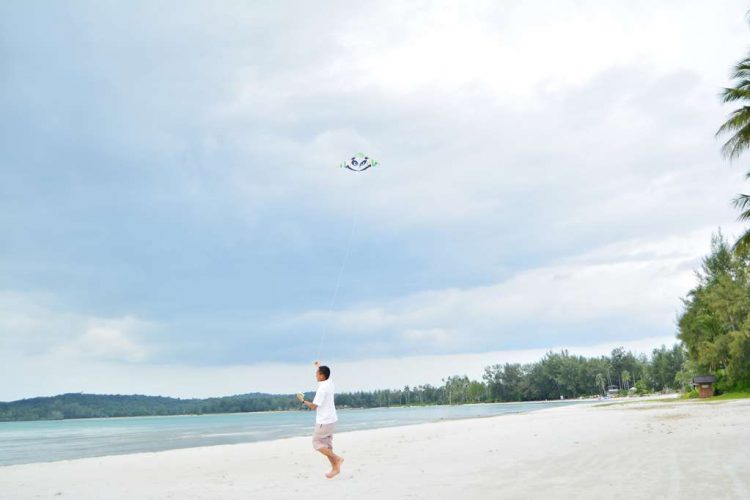 Beach Kite Flying