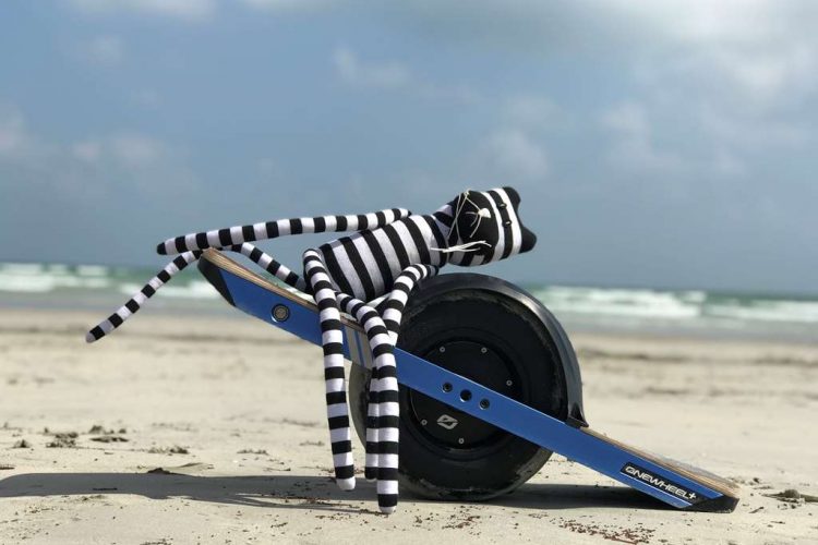 Onewheel+