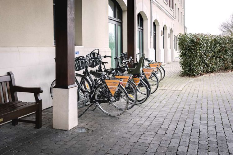 Bike rental