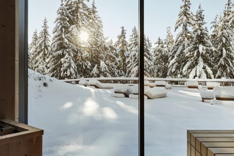 Forestis spa sauna