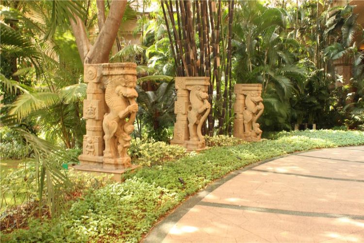 Yali Image