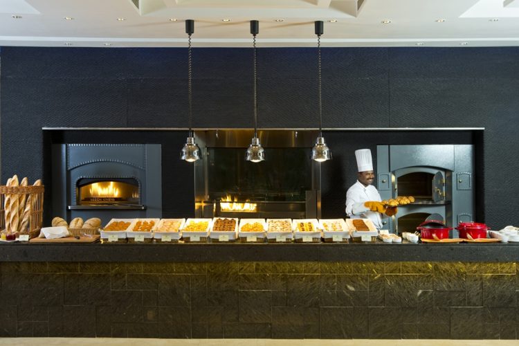 Pizza rotteserie bread oven