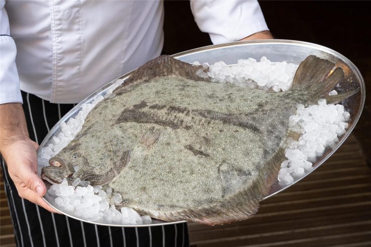 Catalonia Ramblas restaurant Pelai