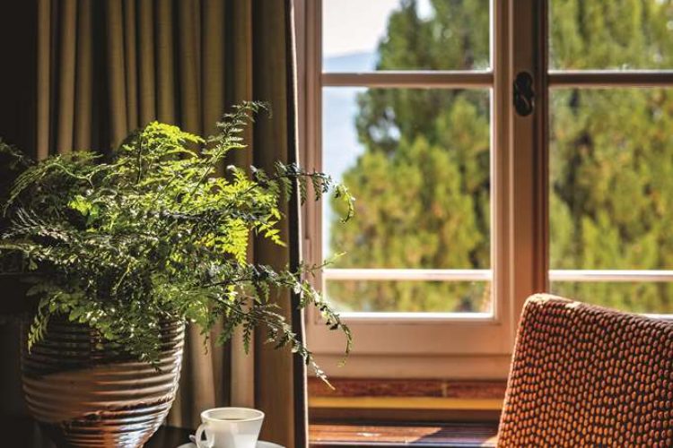 Executive Junior Suite